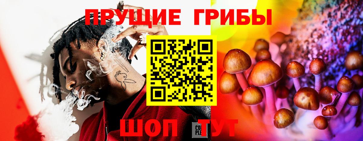 где купить наркоту  Псилоцибиновые грибы мицелий  Печора  Вход с VPN  Галлюциногенные грибы MAGIC MUSHROOMS 